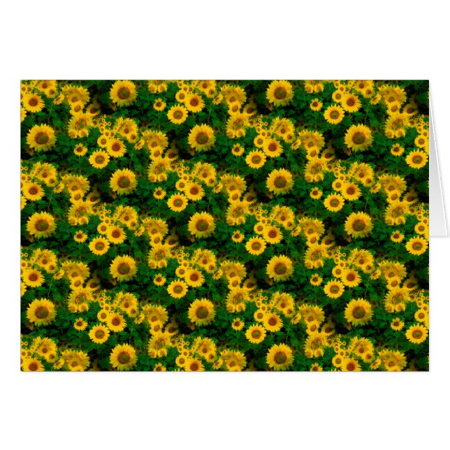 yellow sunflowers (Front Horizontal)