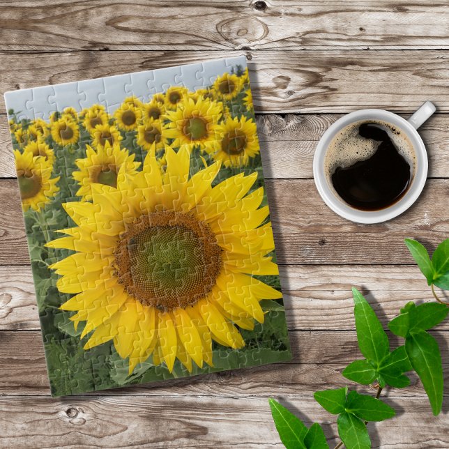 Yellow Sunflowers Colourful Harvest Puzzle (Creator Uploaded)