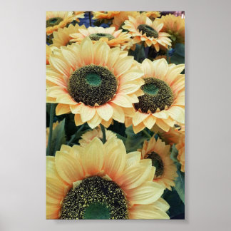 Yellow sunflowers make me happy poster