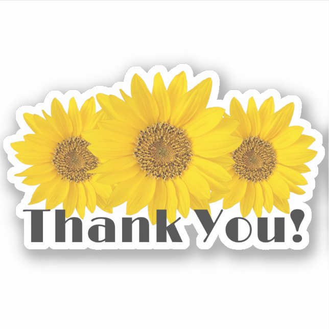 Yellow Sunflowers Thank You (Front)