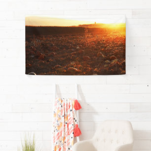 Yellow Sunset Pumpkin Patch Banner