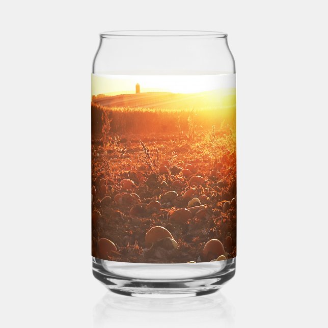 Yellow Sunset Pumpkin Patch  Can Glass (Back)
