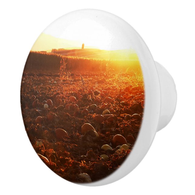 Yellow Sunset Pumpkin Patch  Ceramic Knob (Right)