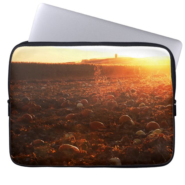 Yellow Sunset Pumpkin Patch  Laptop Sleeve (Front)