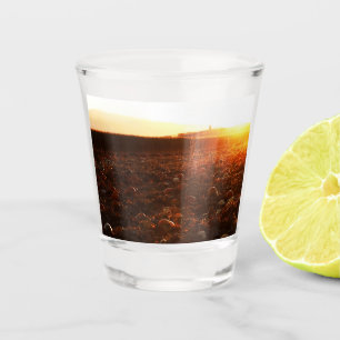 Yellow Sunset Pumpkin Patch Shot Glass
