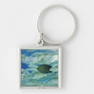 Yellow surgeon fish with yellow stripe goldfish key ring