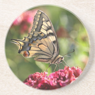Yellow Swallowtail Butterfly Coaster