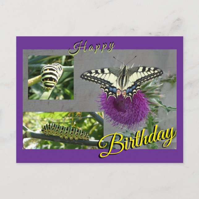 Yellow Swallowtail Collage Birthday Postcard (Front)
