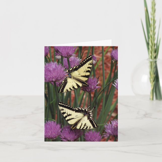 Yellow Swallowtail  Note Card (Front)