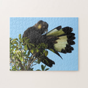 Yellow-tailed Black Cockatoo Jigsaw Puzzle