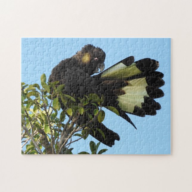 Yellow-tailed Black Cockatoo Jigsaw Puzzle (Horizontal)