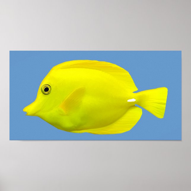 Yellow Tang Tropical Fish Poster (Front)
