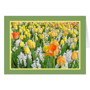 YELLOW, TANGERINE TULIPS WITH WHITE HYACINTHS
