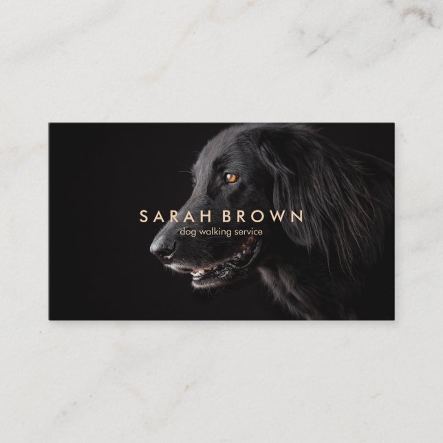 Yellow Text Pet Sitter Groomer Black Labrador Dog Business Card (Front)