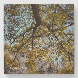 Yellow Tree in Autumn Stone Coaster