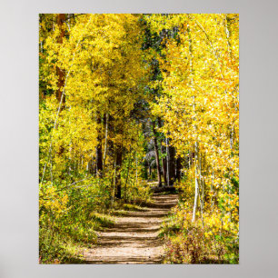 Yellow Tree Road // Hiking in Autumn Poster