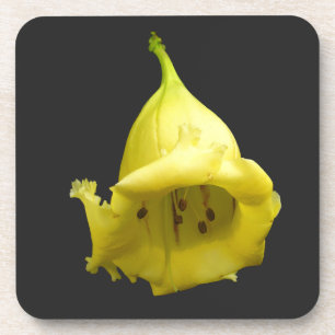 Yellow Tropical Blossom Coaster