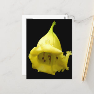 Yellow Tropical Blossom Postcard