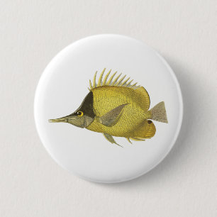 Yellow Tropical Chelmon Longirostris, Vintage Fish 6 Cm Round Badge