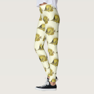 Yellow Tropical Chelmon Longirostris, Vintage Fish Leggings