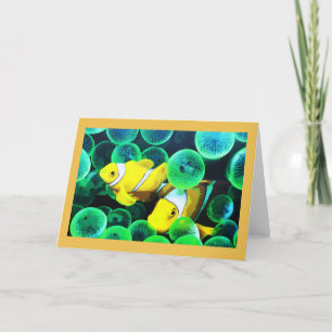 Yellow tropical fish in Madeira Holiday Card