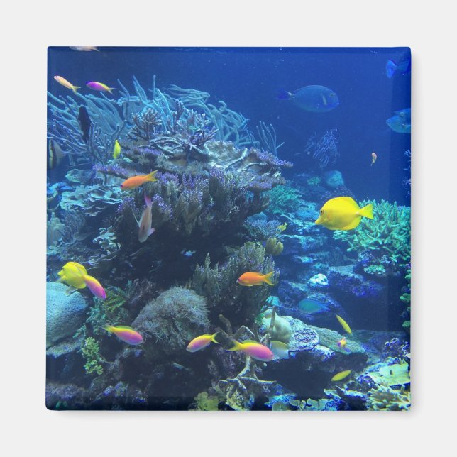 Yellow Tropical Fish Magnet (Front)