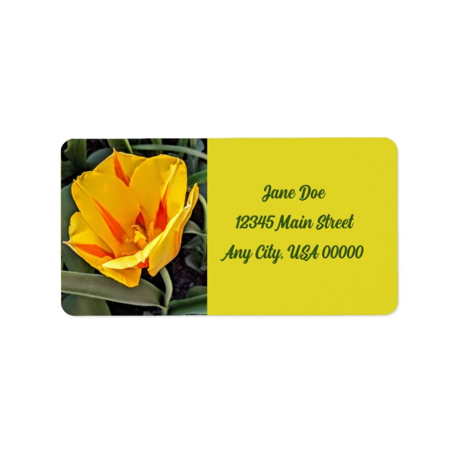 Yellow tulip address mailing label (Front)