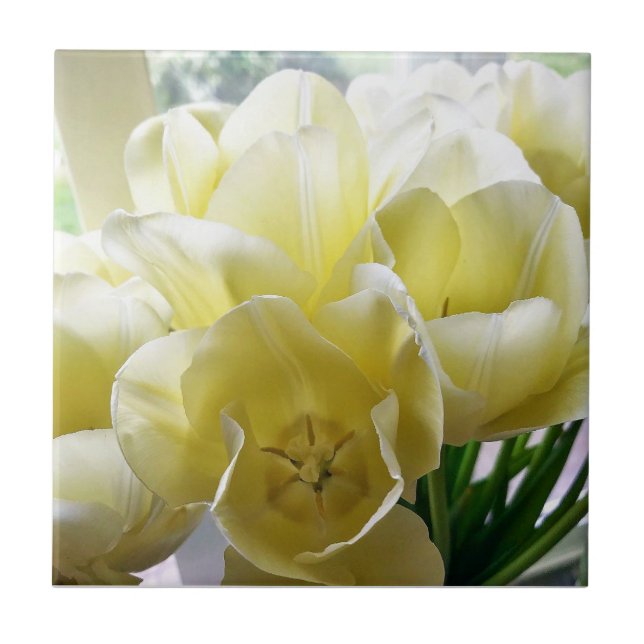 Yellow Tulip Bouquet Ceramic Tile (Front)