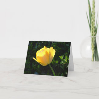 Yellow Tulip Card