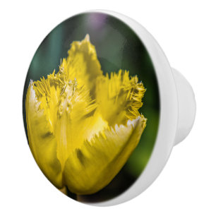 Yellow Tulip Ceramic Knob