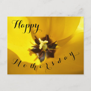 Yellow Tulip Close Up Happy Mothersday Postcard