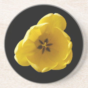 Yellow Tulip Coasters
