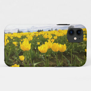 Yellow Tulip Field, Oregon iPhone 11 Case