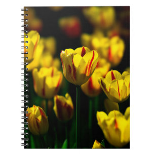 Yellow tulip flowers notebook