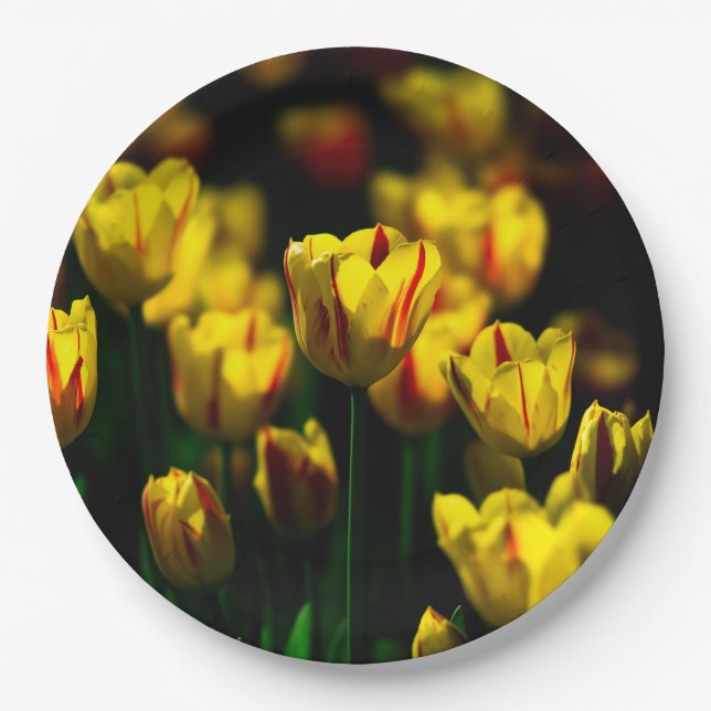 Yellow tulip flowers paper plate (Front)