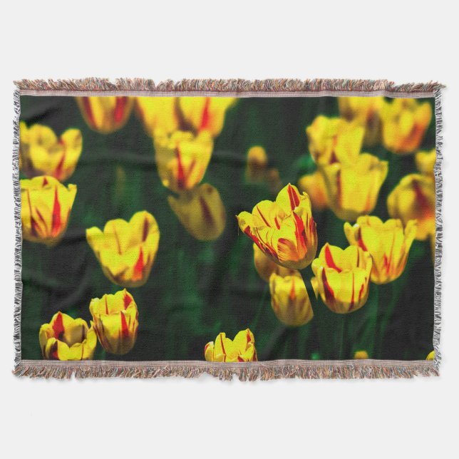 Yellow tulip flowers throw blanket (Front)