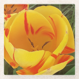 Yellow Tulip Glass Coaster