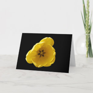 Yellow Tulip Greeting Card