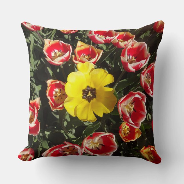 Yellow Tulip in Red Tulips Field Throw Pillow (Front)