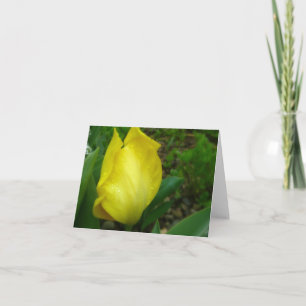 Yellow Tulip in  Spring Rain Note Card