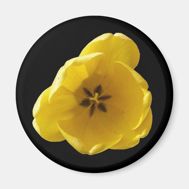 Yellow Tulip Magnet (Front)