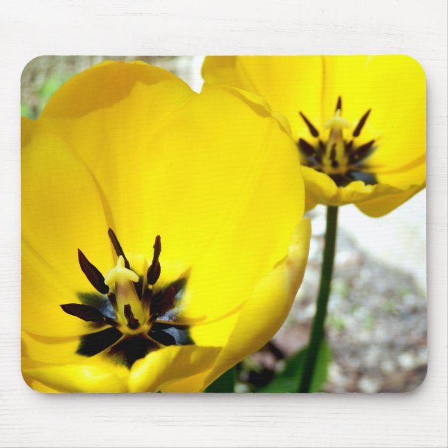 Yellow Tulip Mouse Mat (Front)