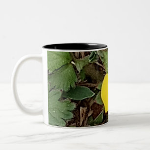Yellow Tulip Mug