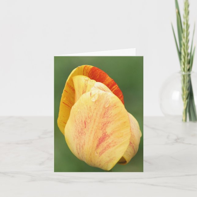 Yellow Tulip Petals Flower Photography  Note Card (Front)
