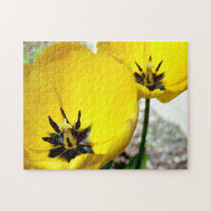 Yellow Tulip Photo Puzzle