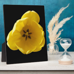 Yellow Tulip Plaque