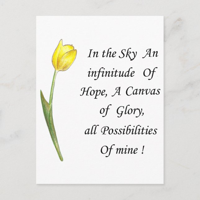Yellow Tulip Postcard (Front)