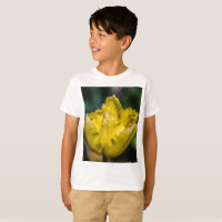 Yellow Tulip