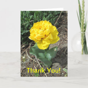 Yellow Tulip Thank You Card