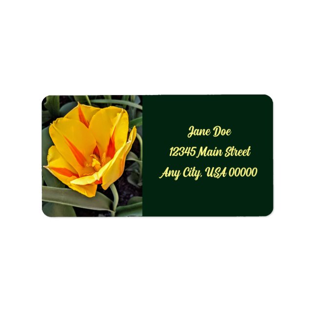 Yellow tulip with green background label (Front)